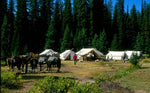 canvas tents - canvas tent - tents for sale - tents - canvas tents montana