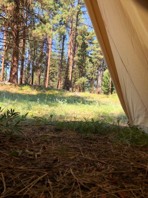view from inside of canvas tent 